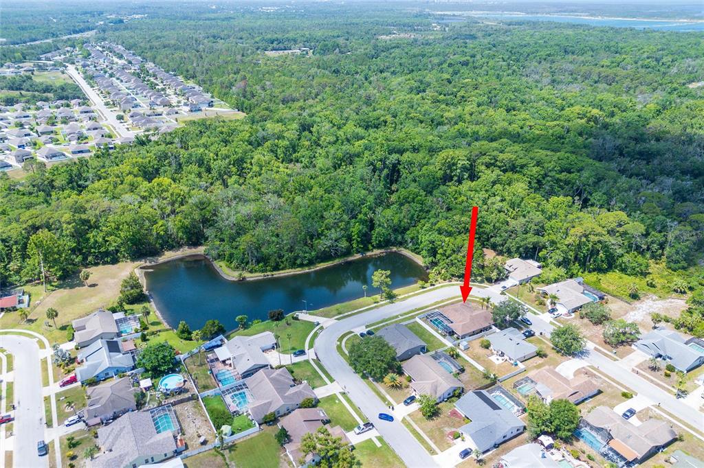 10149 Briar Circle Hudson, FL 34667 - Photo 34 of 35