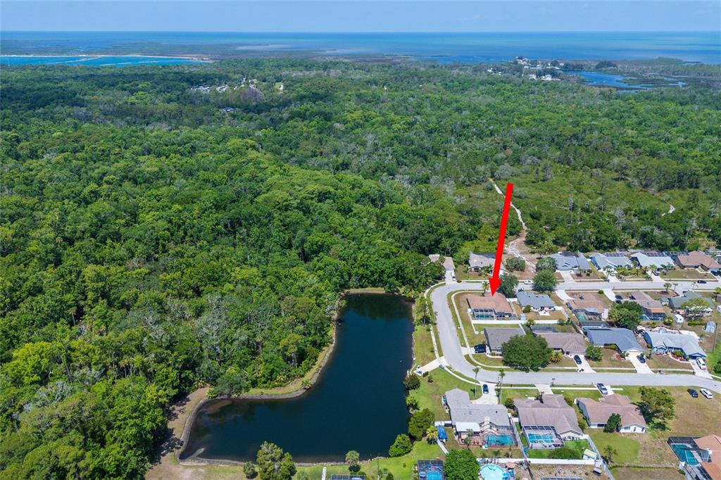 10149 Briar Circle Hudson, FL 34667 - Photo 35 of 35