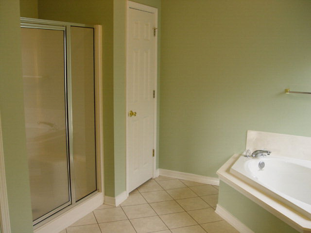 9546 Mosley Road Fairhope, AL 36532 - Photo 25 of 45 Master tub & shower
