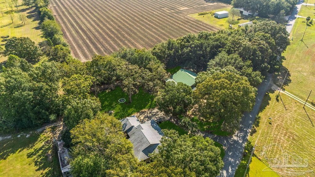 8240 Tidwell Road Pace, FL 32571 - Photo 2 of 41 a plant that is in front of flowers