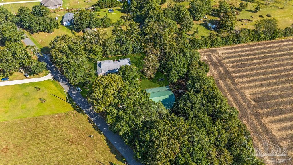 8240 Tidwell Road Pace, FL 32571 - Photo 32 of 41 a view of a yard with plants