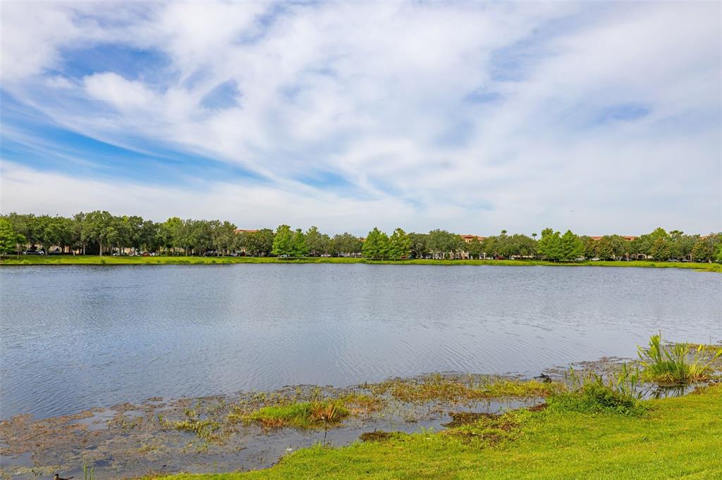 7435 Ripplepointe Way Windermere, FL 34786 - Photo 57 of 66