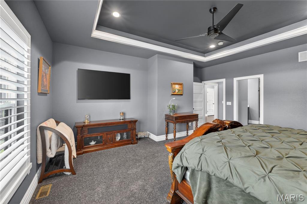 210 Luca James Point O'Fallon, IL 62269 - Photo 14 of 49