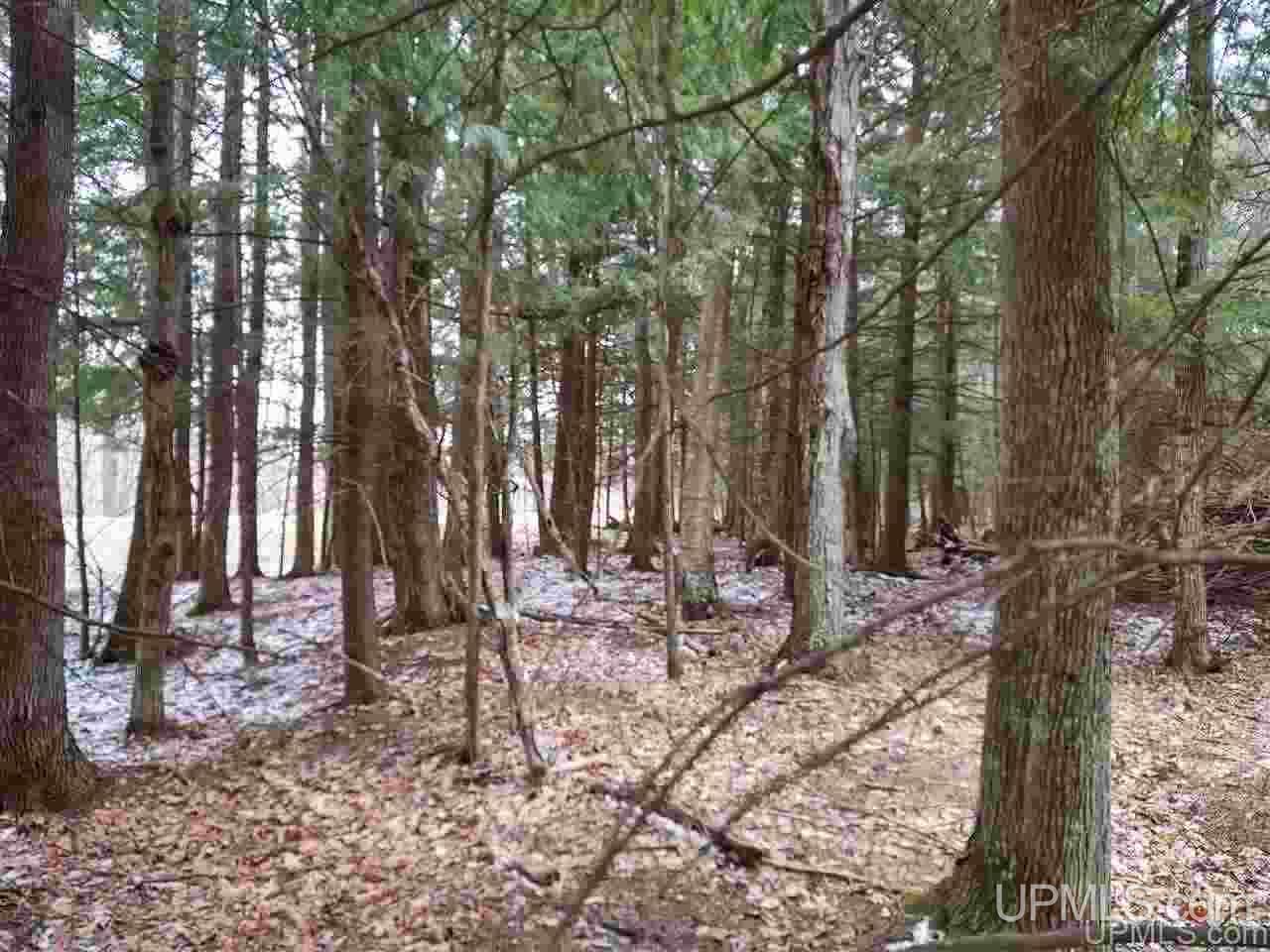 12234 Krolik Road Baraga, MI 49908 - Photo 36 of 36 Gallery Image 36