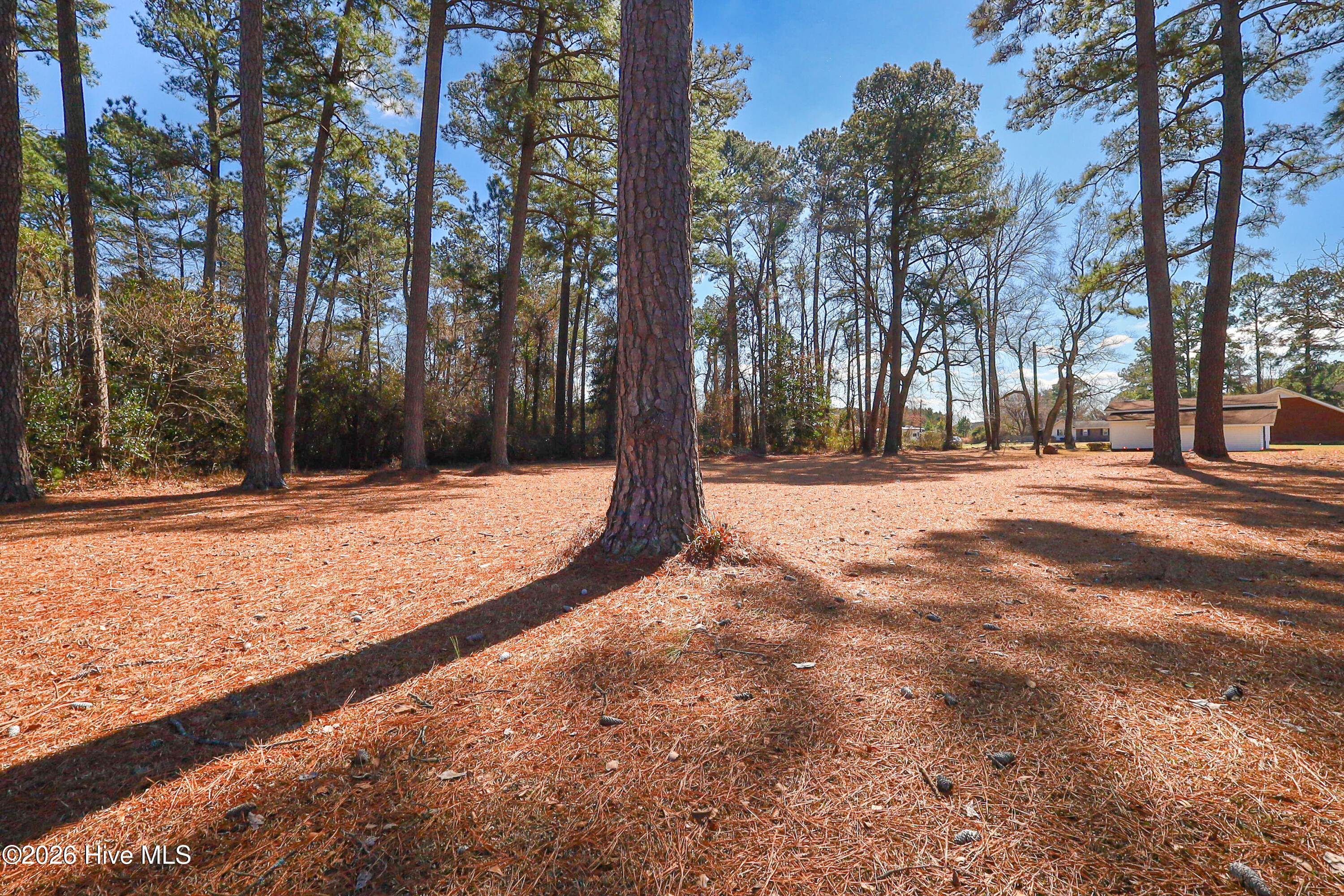 580 Koonce Fork Road Richlands, NC 28574 - Photo 45 of 48 IMG_7914