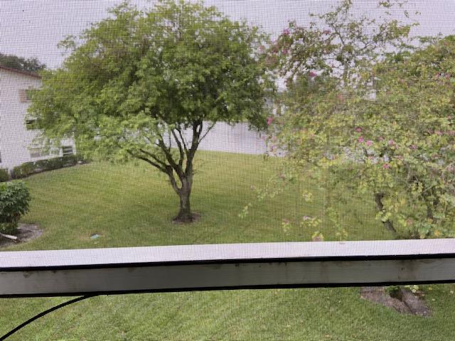 284 Fanshaw G Boca Raton, FL 33434 - Photo 12 of 14 IMG_0268
