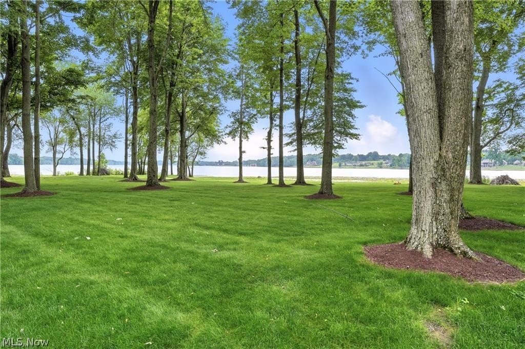 263 East Pine Lake Road North Lima, OH 44452 - Photo 7 of 50 Backyard featuring a water view