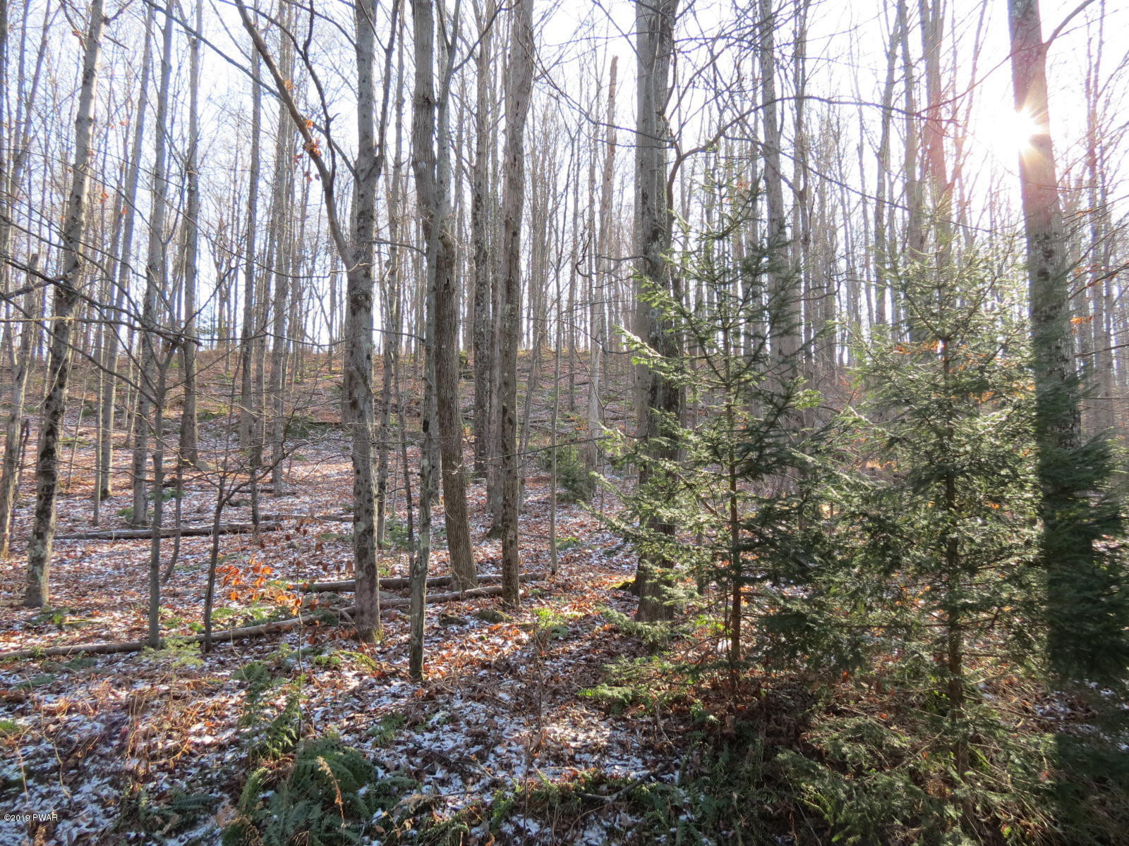 146 Mountain Vw Road Newfoundland, PA 18445 - Photo 12 of 13