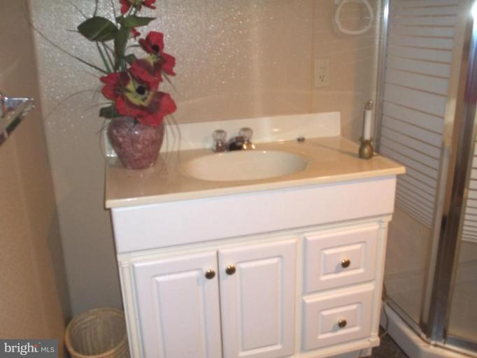 641 Co Rte 4/1 Kearneysville, WV 25430 - Photo 19 of 29 a bathroom with a sink and a mirror
