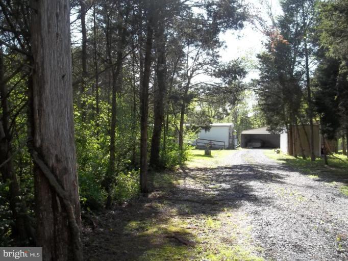 641 Co Rte 4/1 Kearneysville, WV 25430 - Photo 21 of 29 a view of a yard with plants and trees