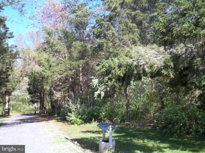 641 Co Rte 4/1 Kearneysville, WV 25430 - Photo 22 of 29 a view of a yard with a tree