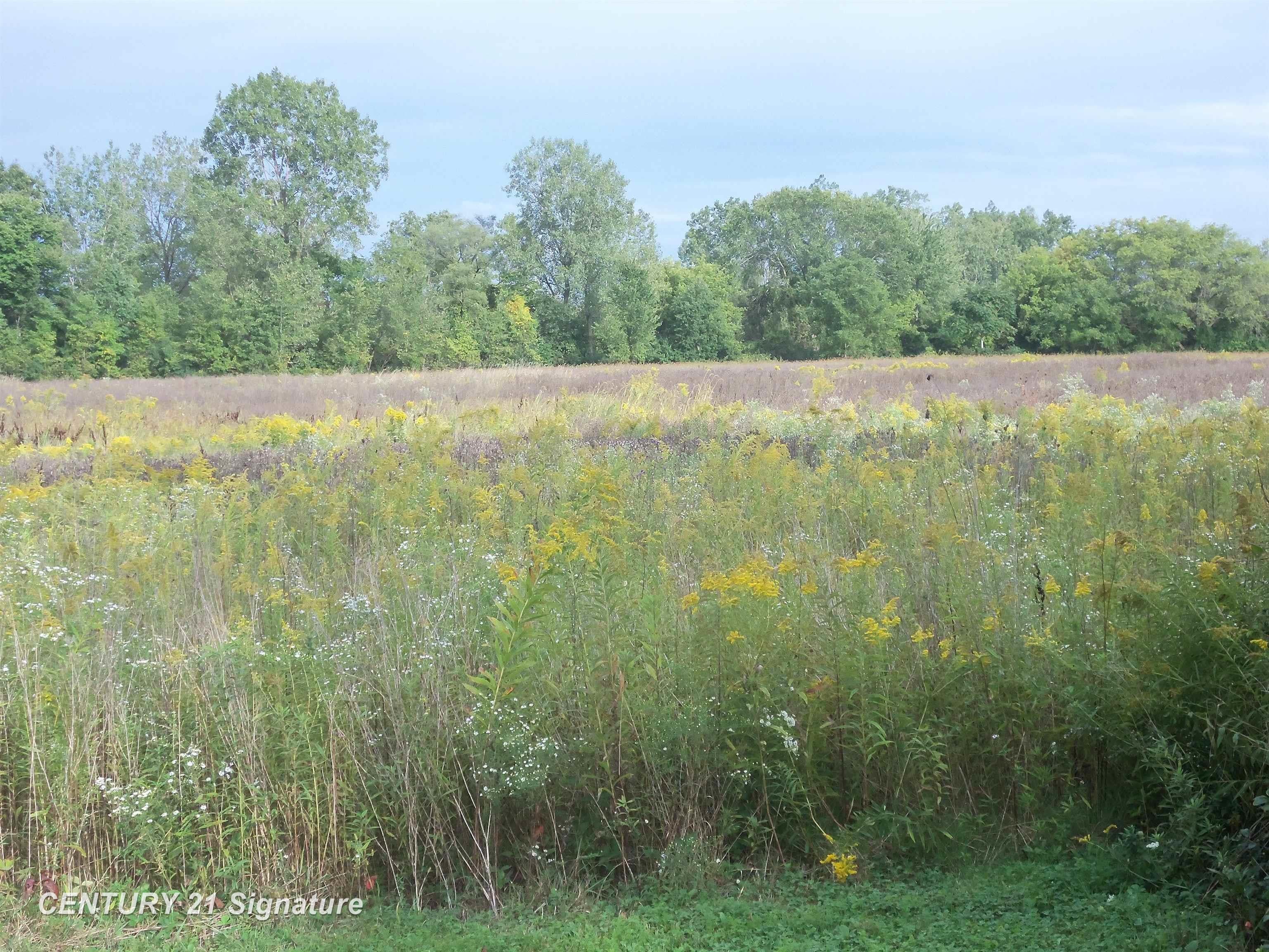 V/l West Coldwater Road Flushing, MI 48433 - Photo 9 of 9 Gallery Image 9