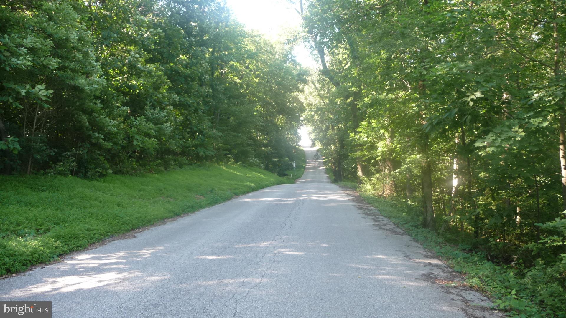 Lot 16 Little Road Stewartstown, PA 17363 - Photo 2 of 3 View down Little Rd