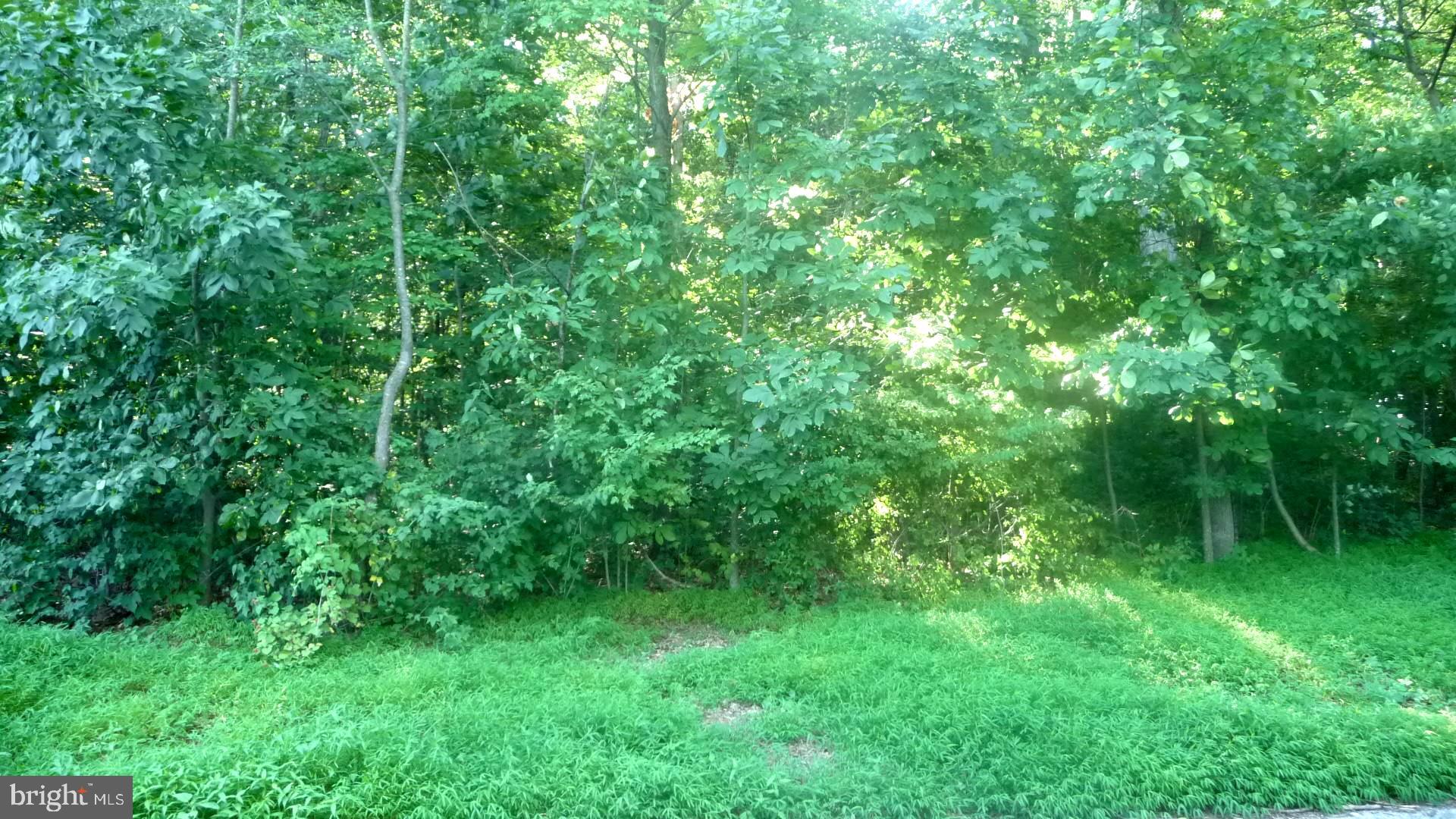 Lot 16 Little Road Stewartstown, PA 17363 - Photo 3 of 3 Lot as viewed from Little Rd