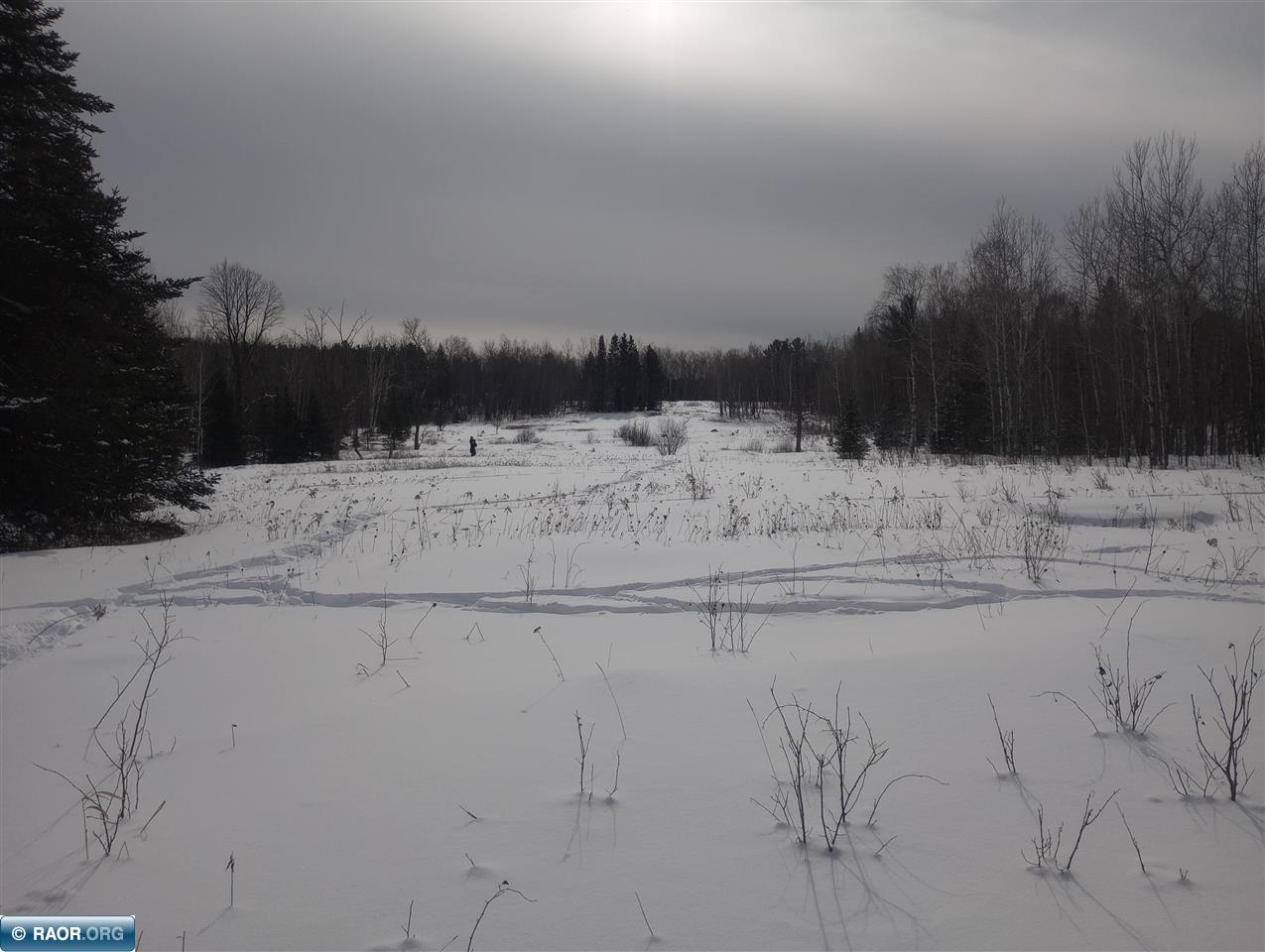 11879 Town Line Road Hibbing, MN 55746 - Photo 14 of 17