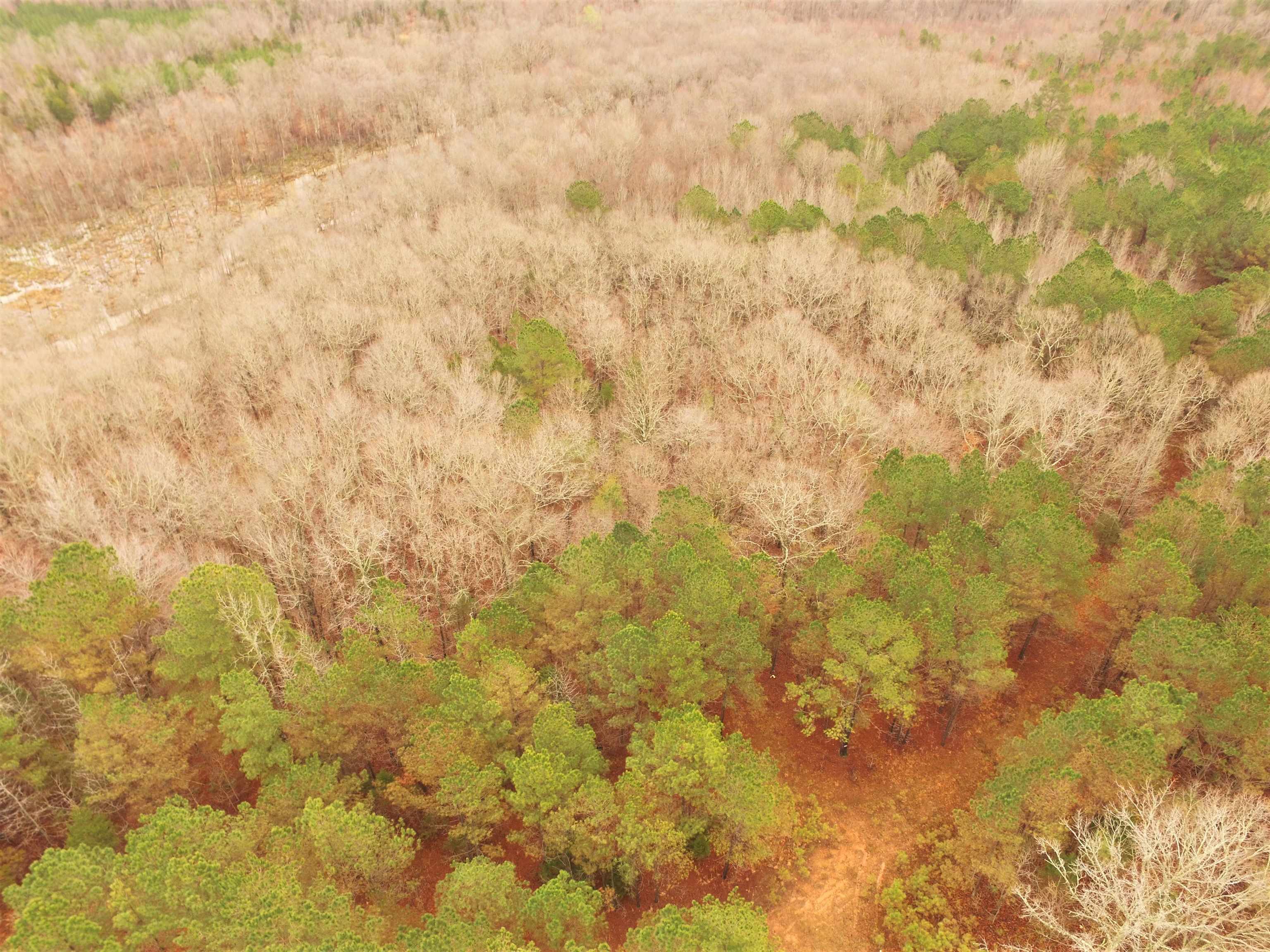88.5 Acres Road Finger, TN 38334 - Photo 8 of 25