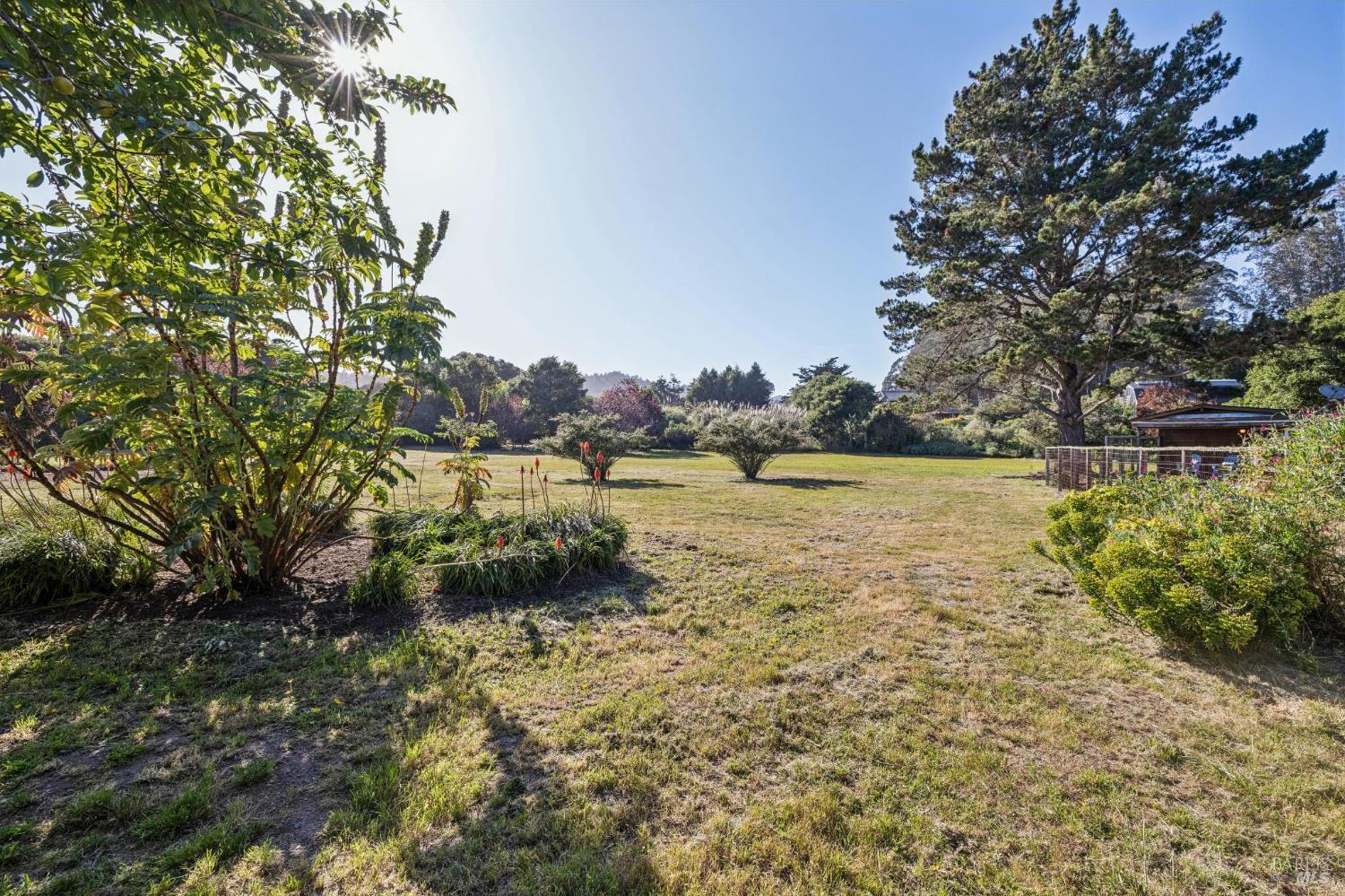 5 Lauff Ranch Road Bolinas, CA 94924 - Photo 71 of 92