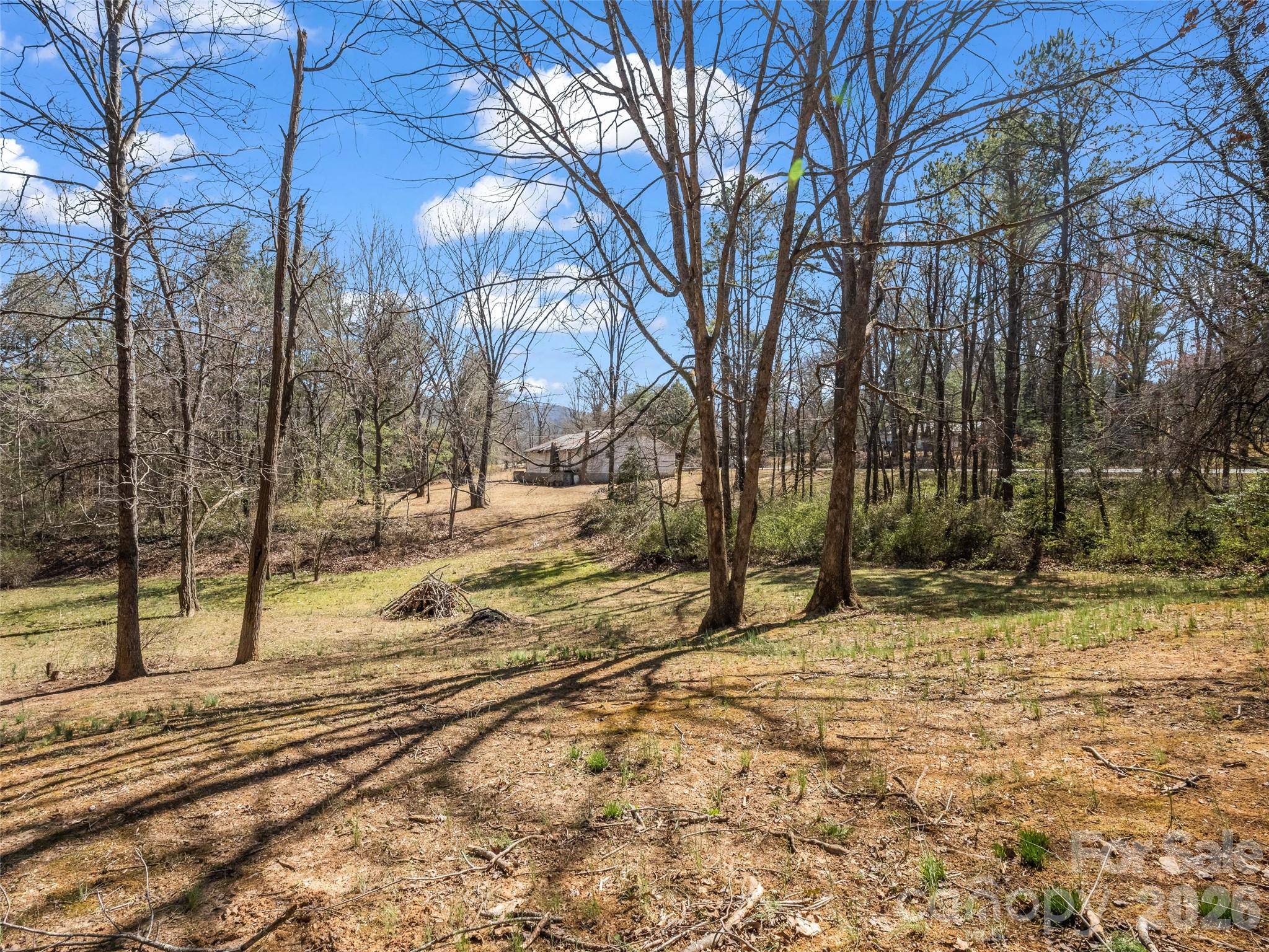 156 Warren Wilson Road Swannanoa, NC 28778 - Photo 2 of 38