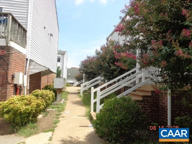 a view of a yard with plants and large trees