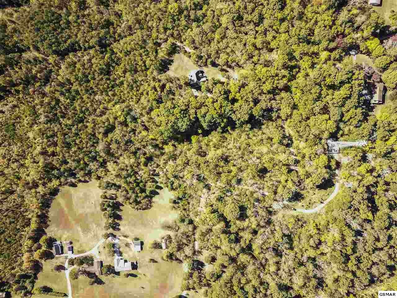 4305 Douglas Dam Road Kodak, TN 37764 - Photo 4 of 10 Gallery Image 4