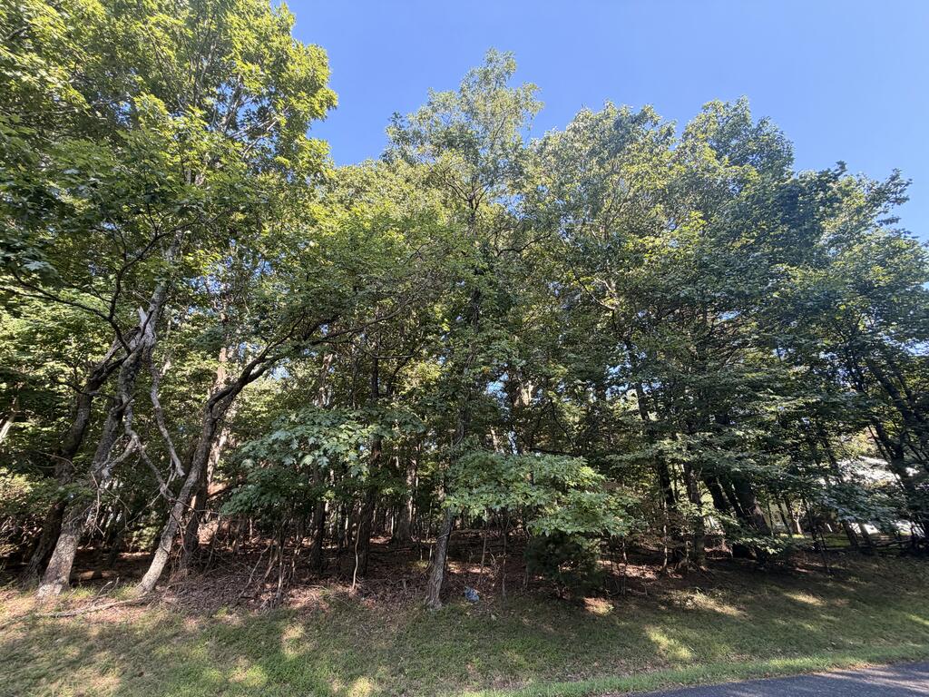 Tbd Cascade Trail, Unit 13 Fancy Gap, VA 24328 - Photo 17 of 19 Gallery Image 17