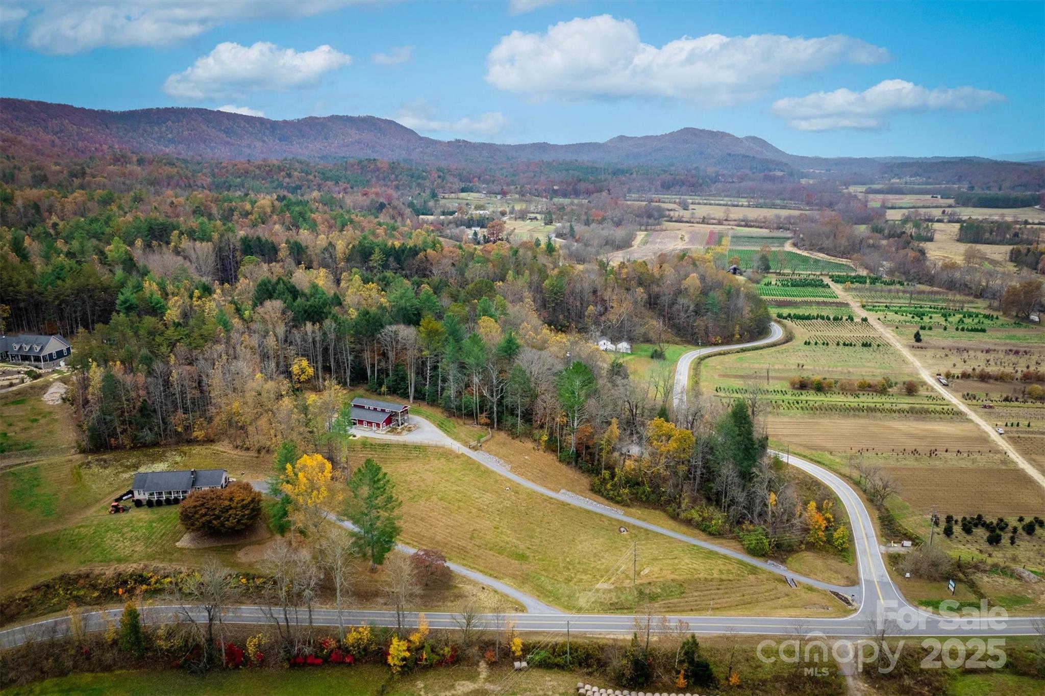 4447 Steeltown Road Lenoir, NC 28645 - Photo 12 of 42 a view of a backyard with plants and mountains