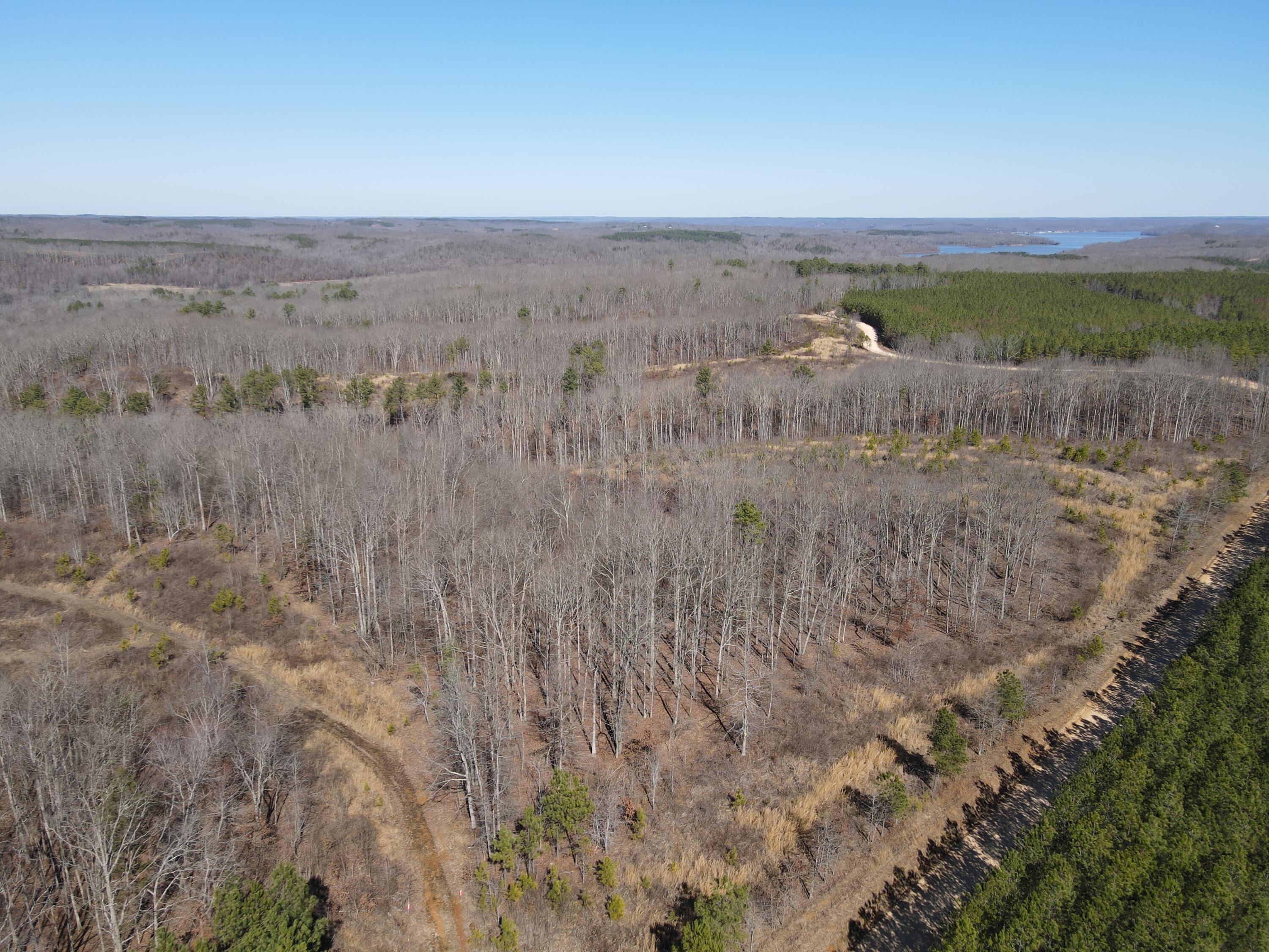 0 Pine Grove Road, Unit 3 Big Sandy, TN 38221 - Photo 12 of 13 DJI_0257
