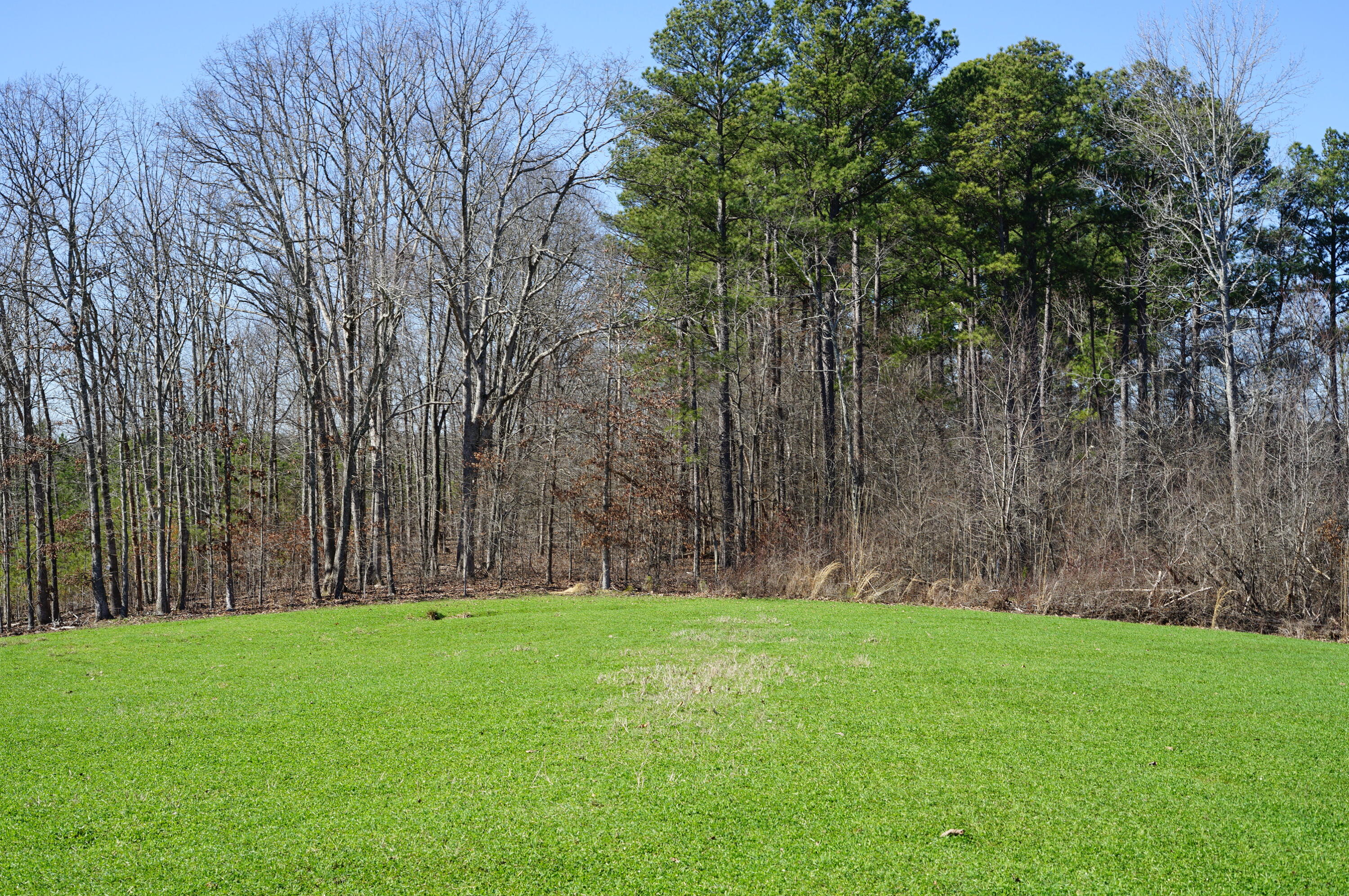 0 Pine Grove Road, Unit 3 Big Sandy, TN 38221 - Photo 3 of 13 DSC00099