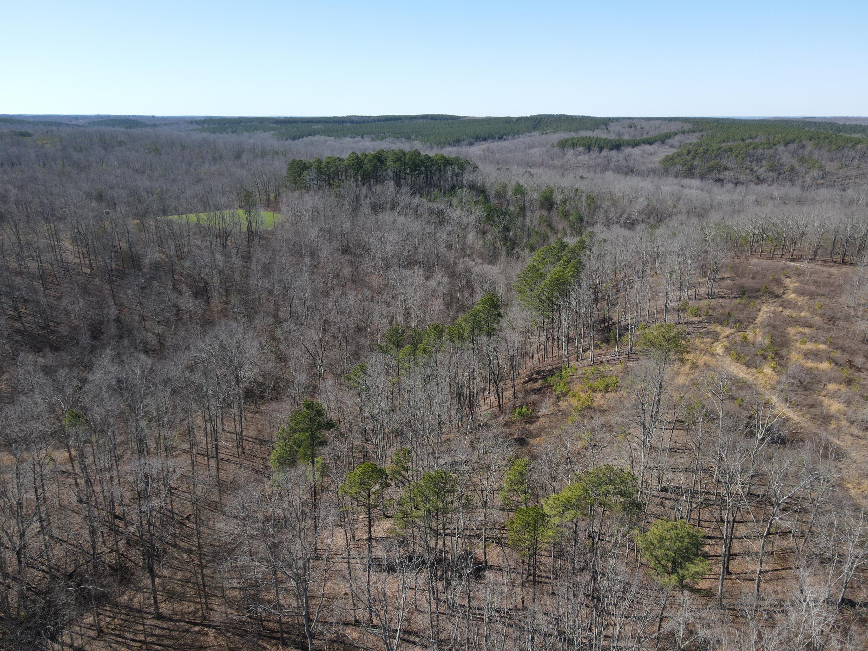 0 Pine Grove Road, Unit 3 Big Sandy, TN 38221 - Photo 9 of 13 DJI_0266