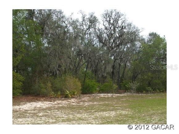 0 Lake Winnott Road Hawthorne, FL 32640 - Photo 1 of 1 Gallery Image 1