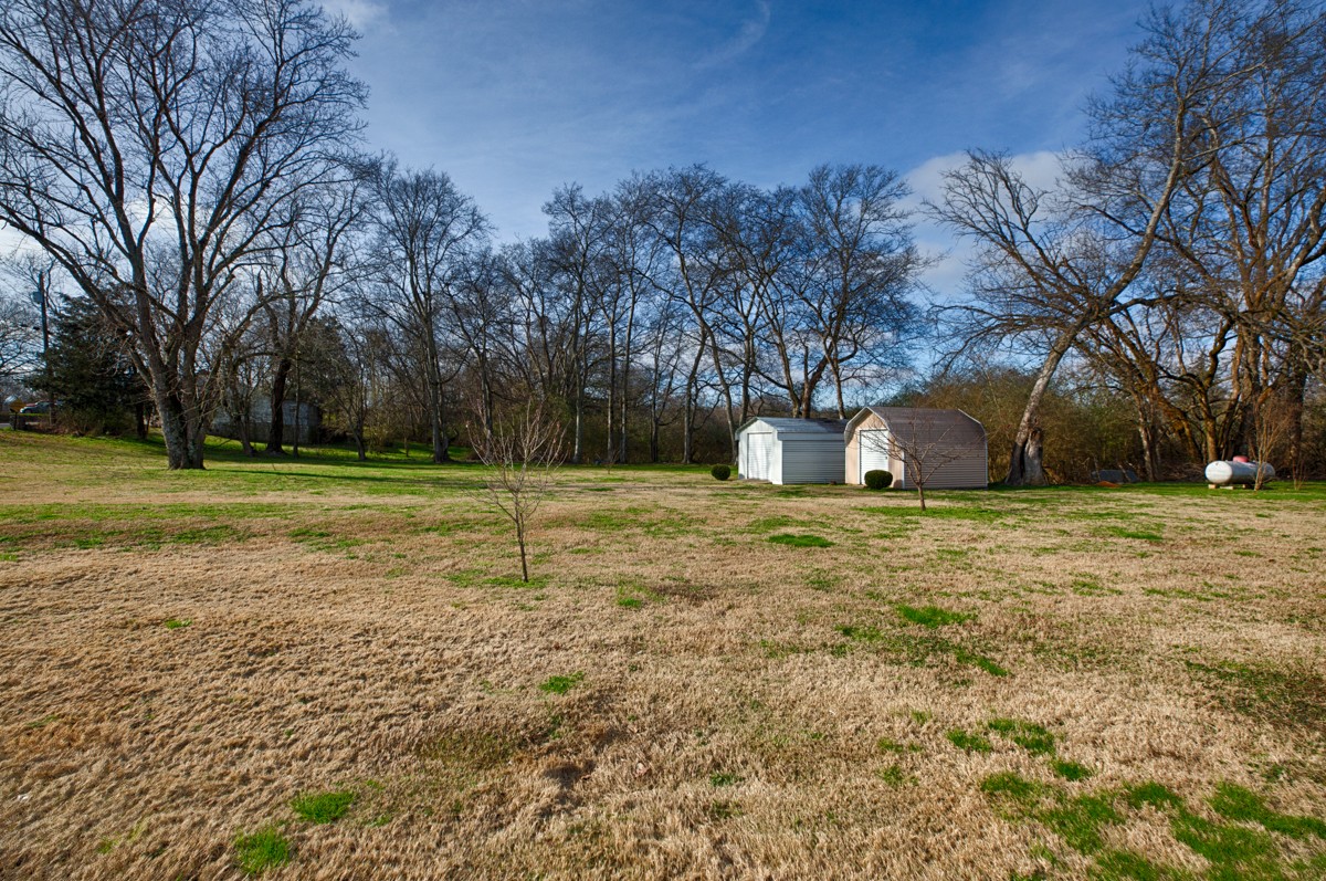673 Molino Road Fayetteville, TN 37334 - Photo 25 of 31 a view of a field with trees