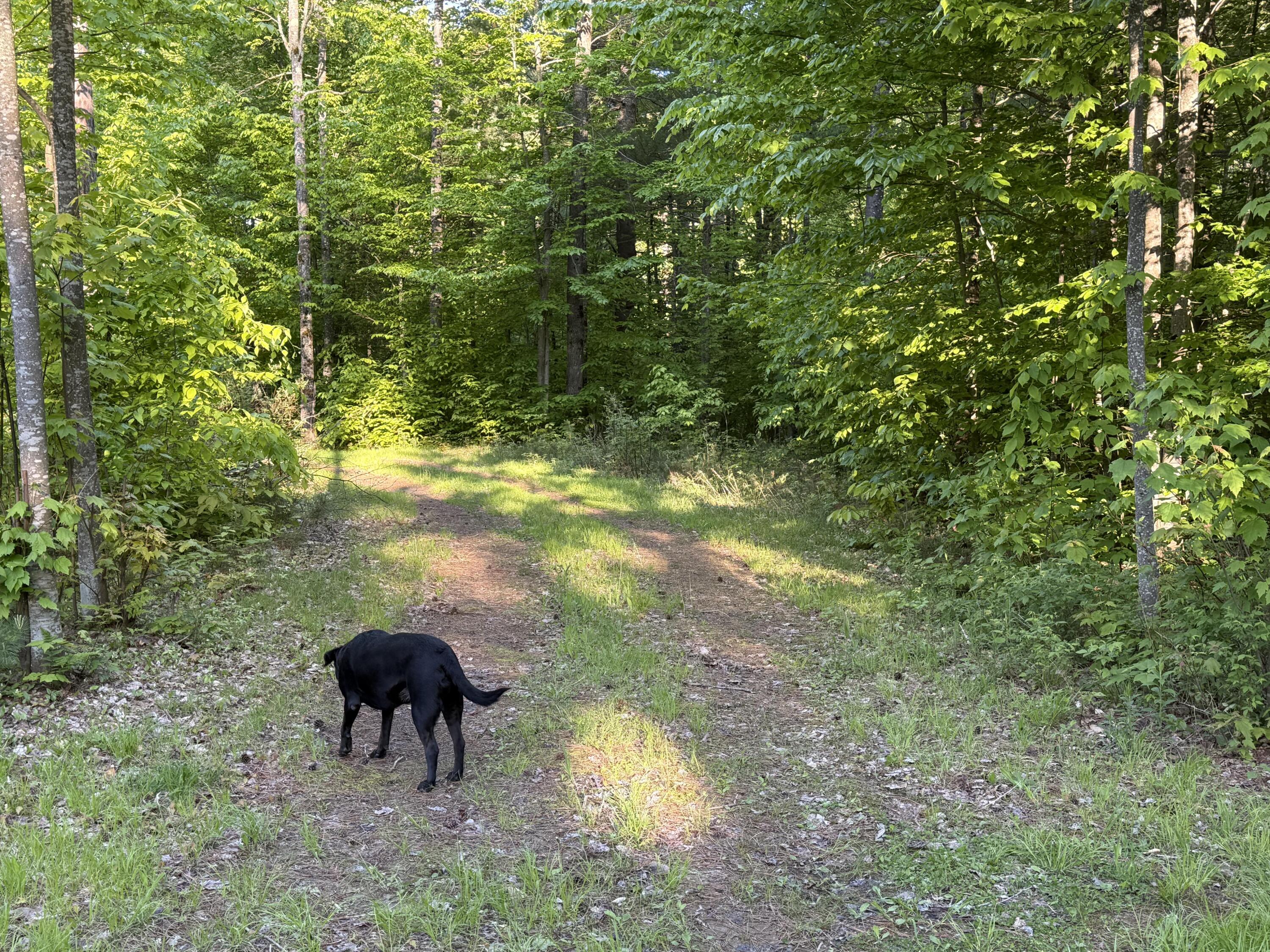 0 County Rte 27 Malone, NY 12953 - Photo 23 of 28
