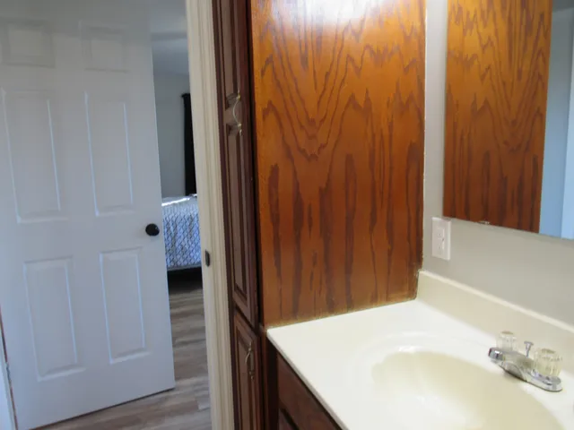 a bathroom with a sink and a mirror