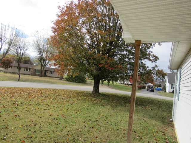 a view of yard with tree