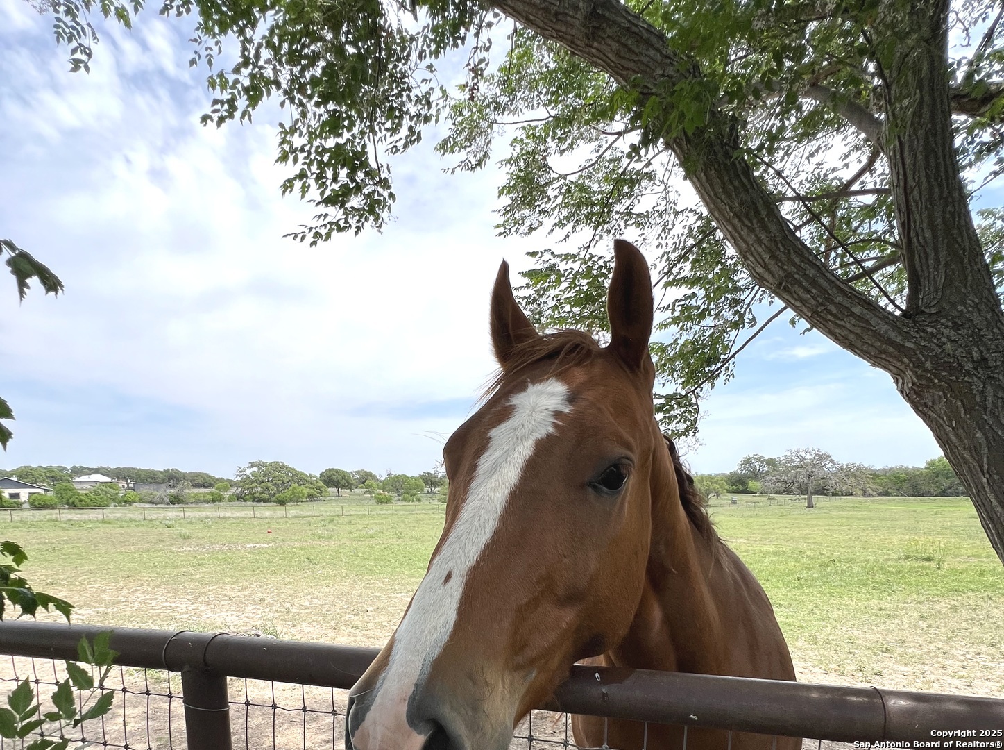 545 Highgate Drive Bandera, TX 78003 - Photo 35 of 49