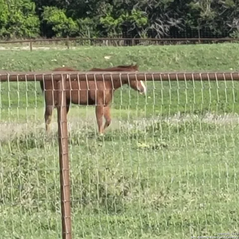 $685,000 | 545 Highgate Drive, Bandera, TX 78003