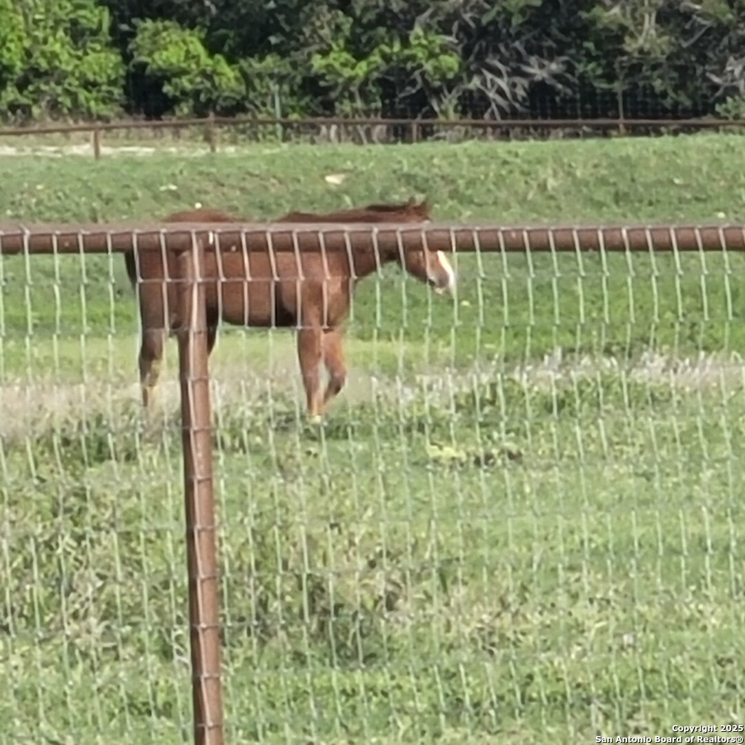 545 Highgate Drive Bandera, TX 78003 - Photo 36 of 49