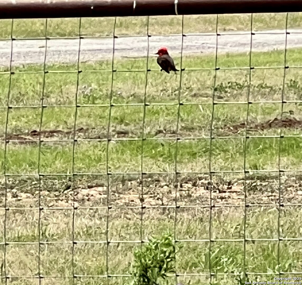 545 Highgate Drive Bandera, TX 78003 - Photo 47 of 49