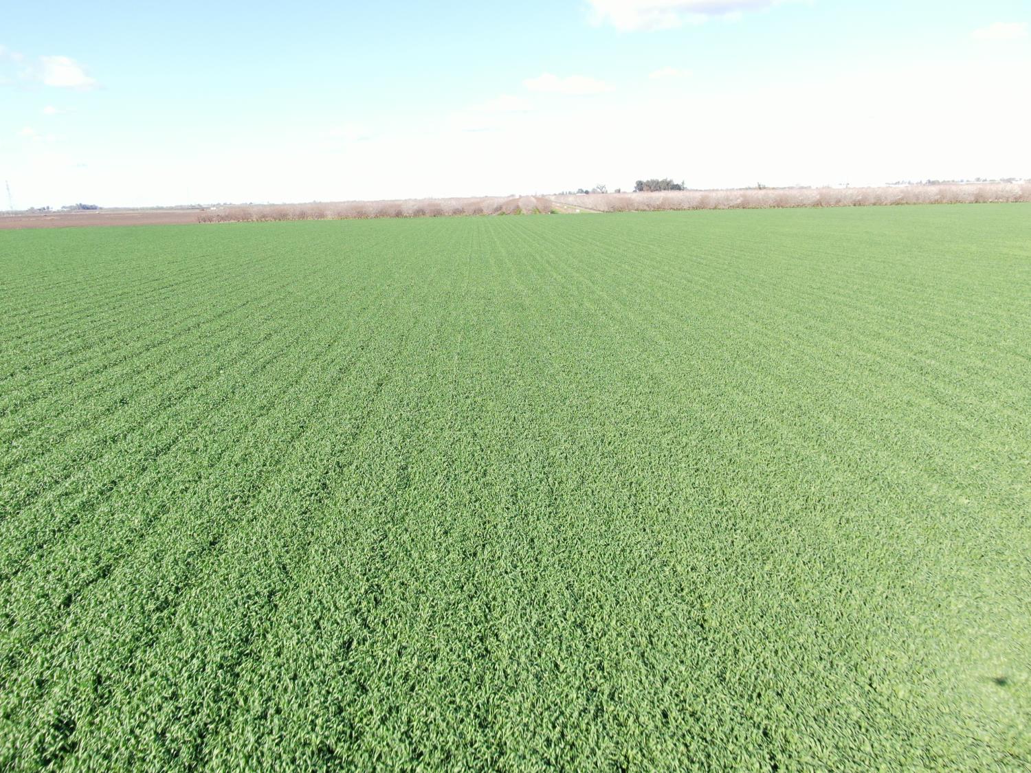 2334 South Inland Drive Stockton, CA 95206 - Photo 24 of 31 a view of field with grass