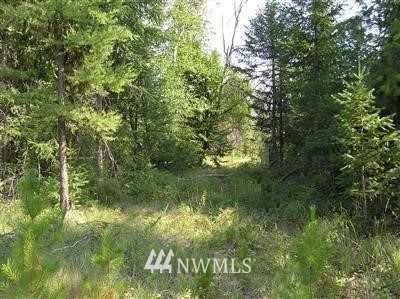 -tbd Bear Tooth Road Newport, WA 99156 - Photo 1 of 11 Gallery Image 1