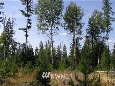 -tbd Bear Tooth Road Newport, WA 99156 - Photo 2 of 11 Gallery Image 2