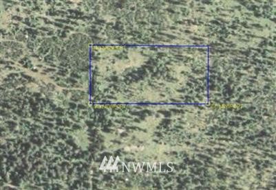 -tbd Bear Tooth Road Newport, WA 99156 - Photo 11 of 11 Gallery Image 11