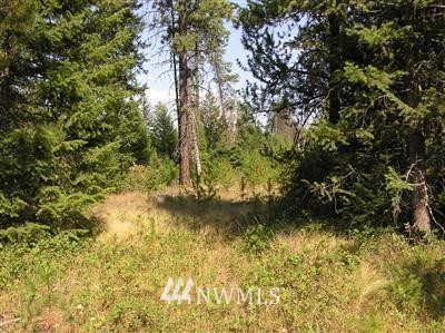 -tbd Bear Tooth Road Newport, WA 99156 - Photo 3 of 11 Gallery Image 3