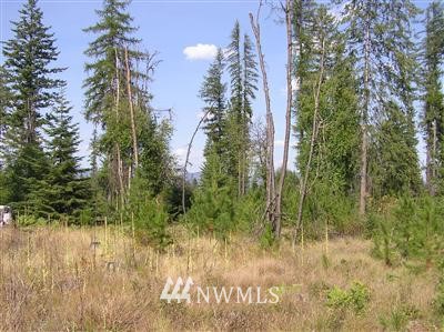 -tbd Bear Tooth Road Newport, WA 99156 - Photo 4 of 11 Gallery Image 4