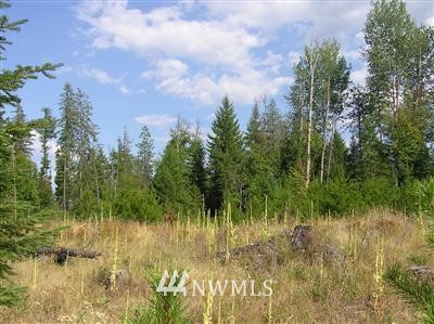-tbd Bear Tooth Road Newport, WA 99156 - Photo 5 of 11 Gallery Image 5