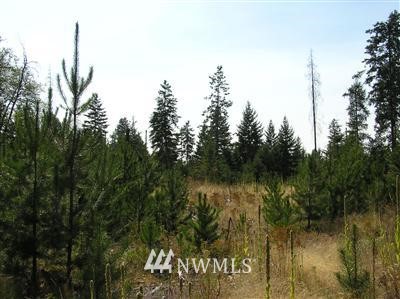 -tbd Bear Tooth Road Newport, WA 99156 - Photo 7 of 11 Gallery Image 7
