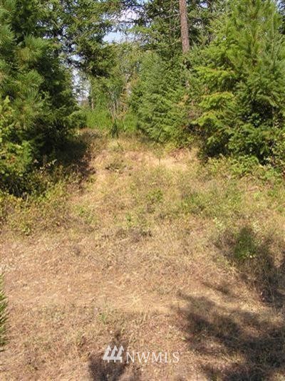 -tbd Bear Tooth Road Newport, WA 99156 - Photo 8 of 11 Gallery Image 8