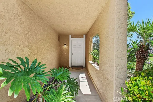 a hallway with plants and a potted plant