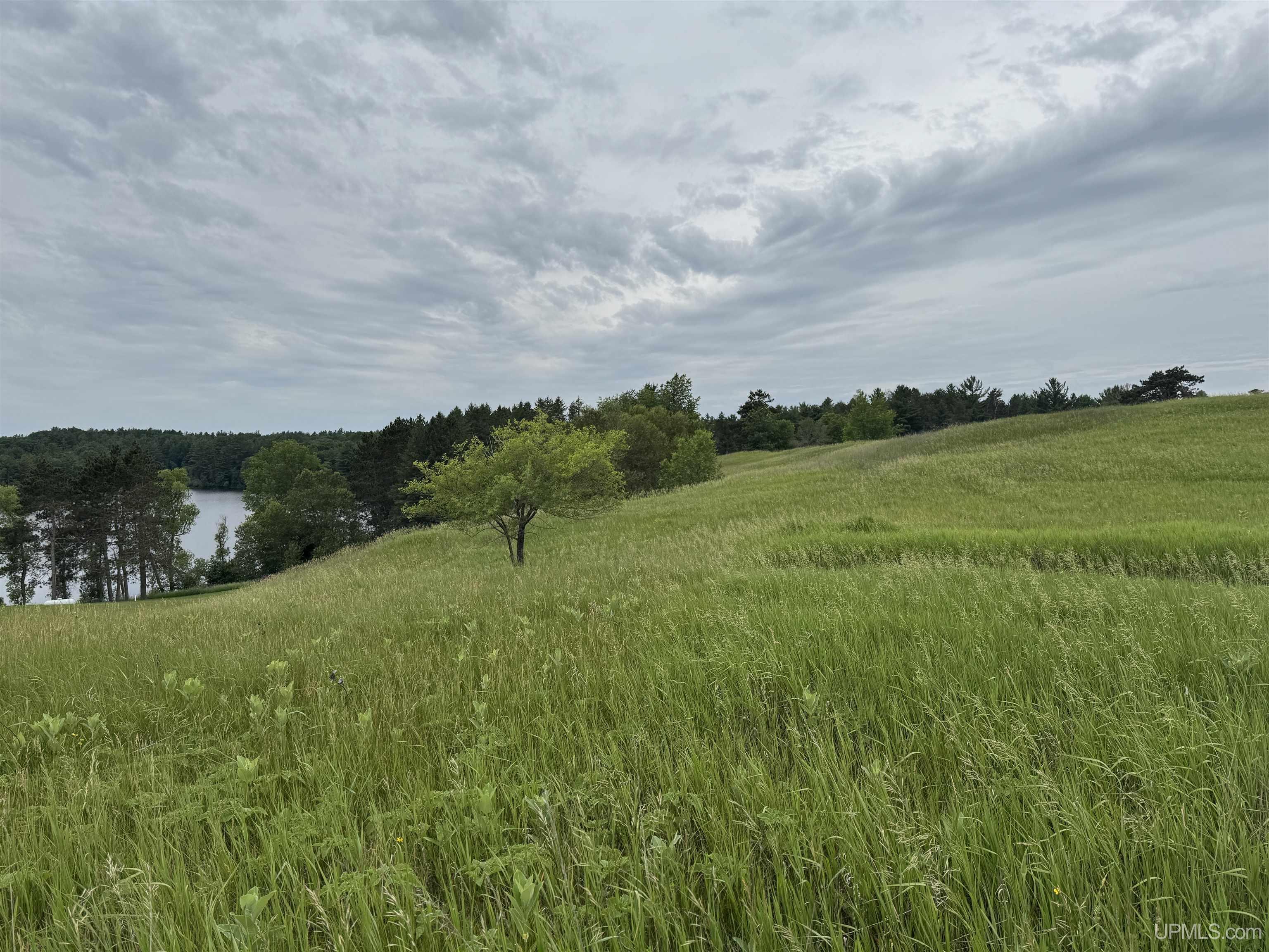 Tbd New York Lake Road Vulcan, MI 49892 - Photo 13 of 23