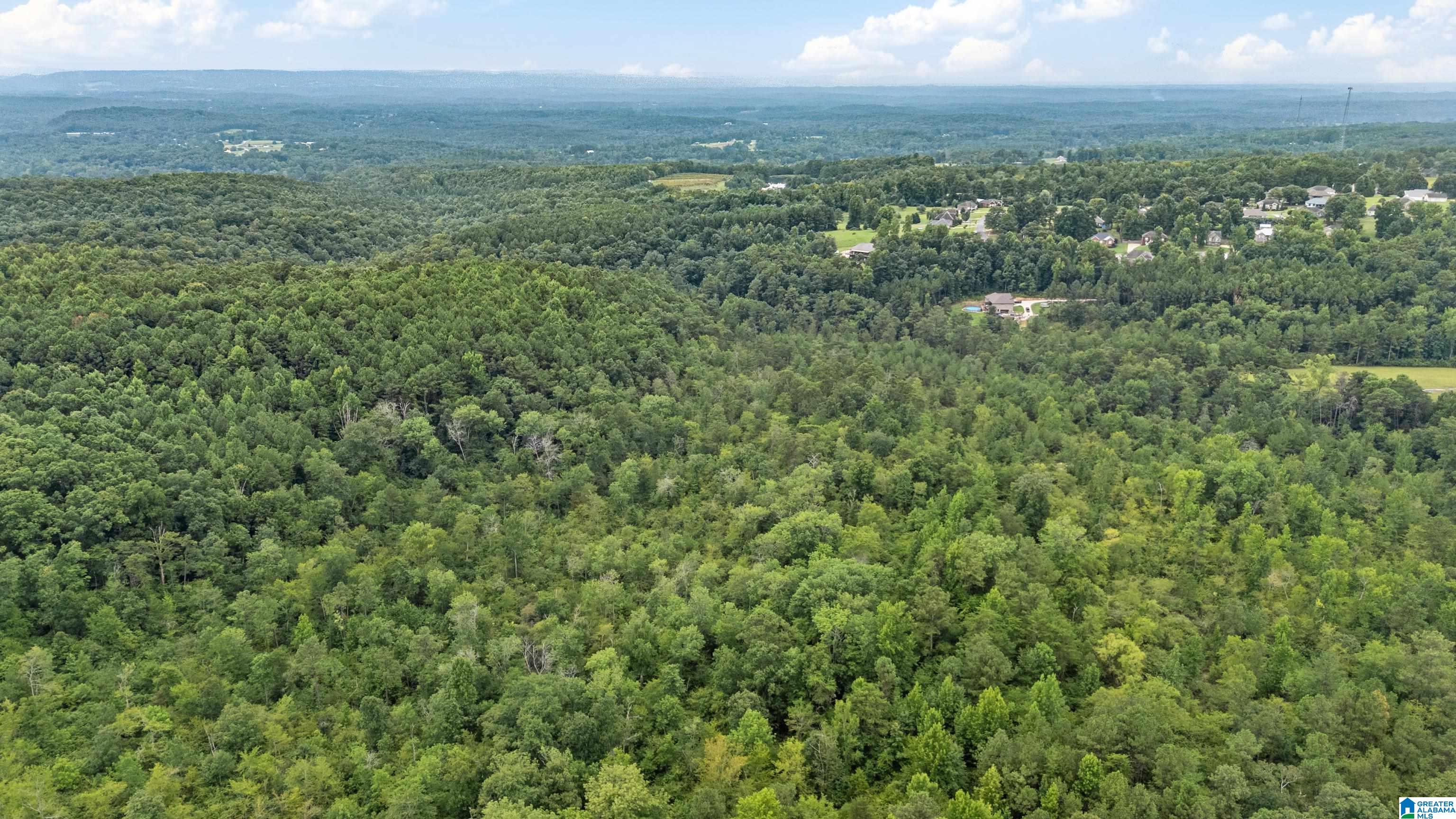 700 High Rock Road Hayden, AL 35079 - Photo 62 of 76
